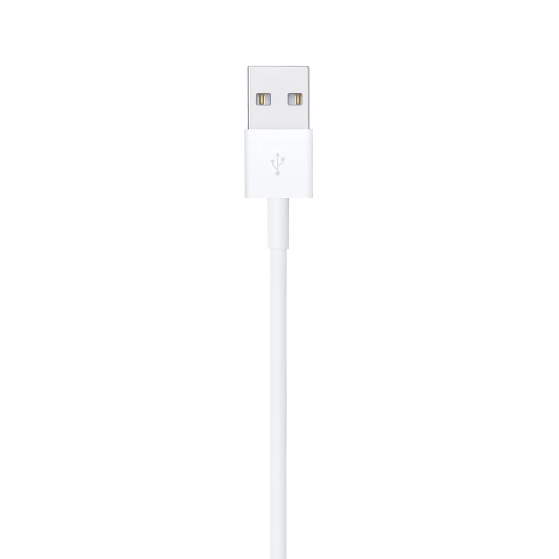 Apple LIGHTNING TO USB CABLE - Image 4