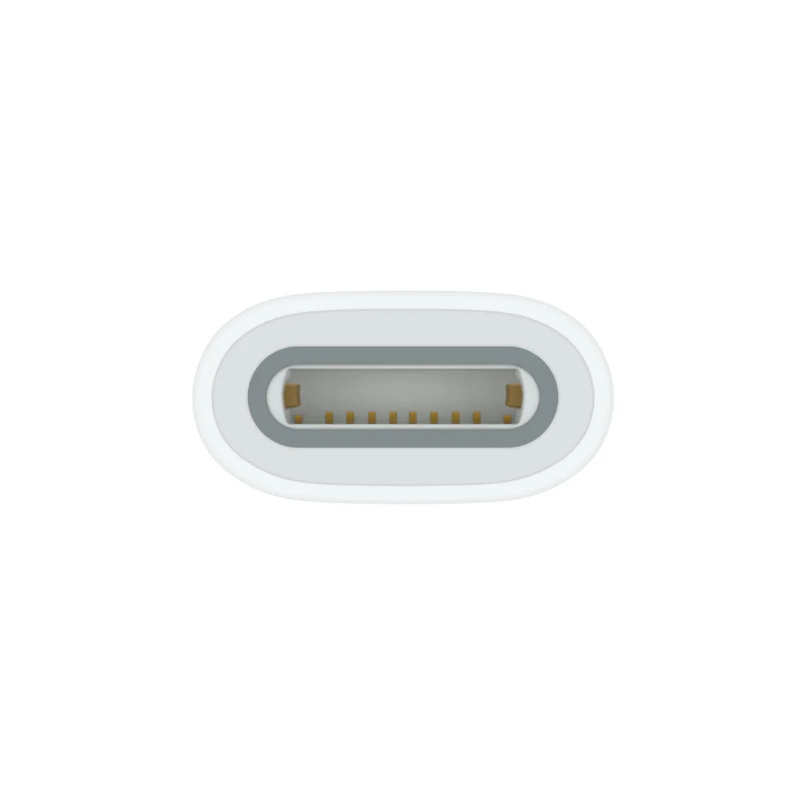 Apple power ADAPTER : USB-C TO APPLE PENCIL - Image 3