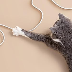 Eufy Petcare Water Fountain - Image 10