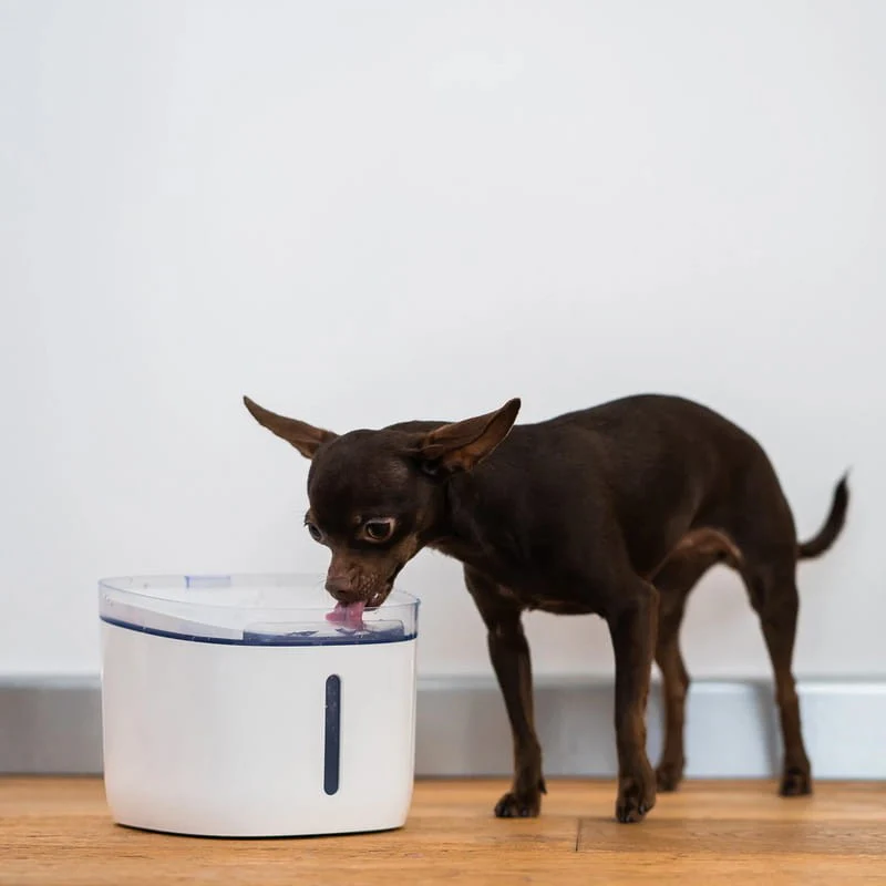 PETONEER FRESCO MINI PLUS FOUNTAIN 1.9L - Image 4